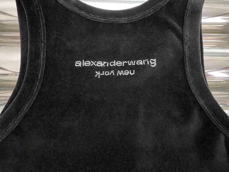 Alexander Wang Dress